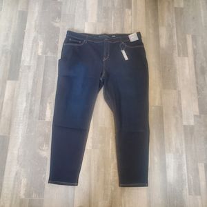 Falls Creek Dark Denim Skinny Jean Size 24